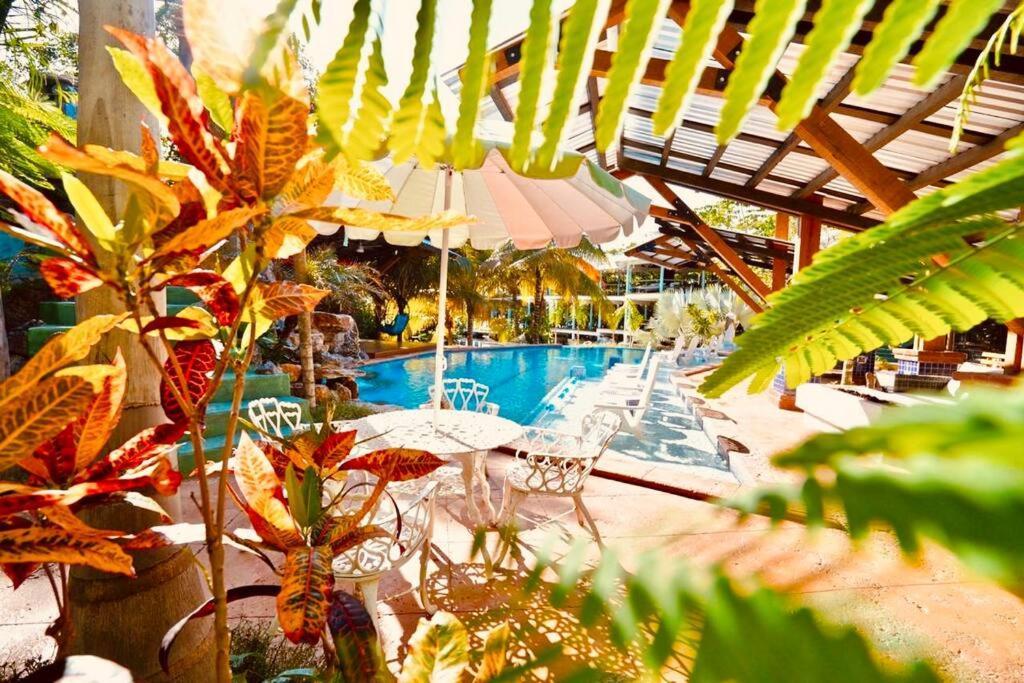 ווסט אנד The Dock Resort Over Water Retreat מראה חיצוני תמונה