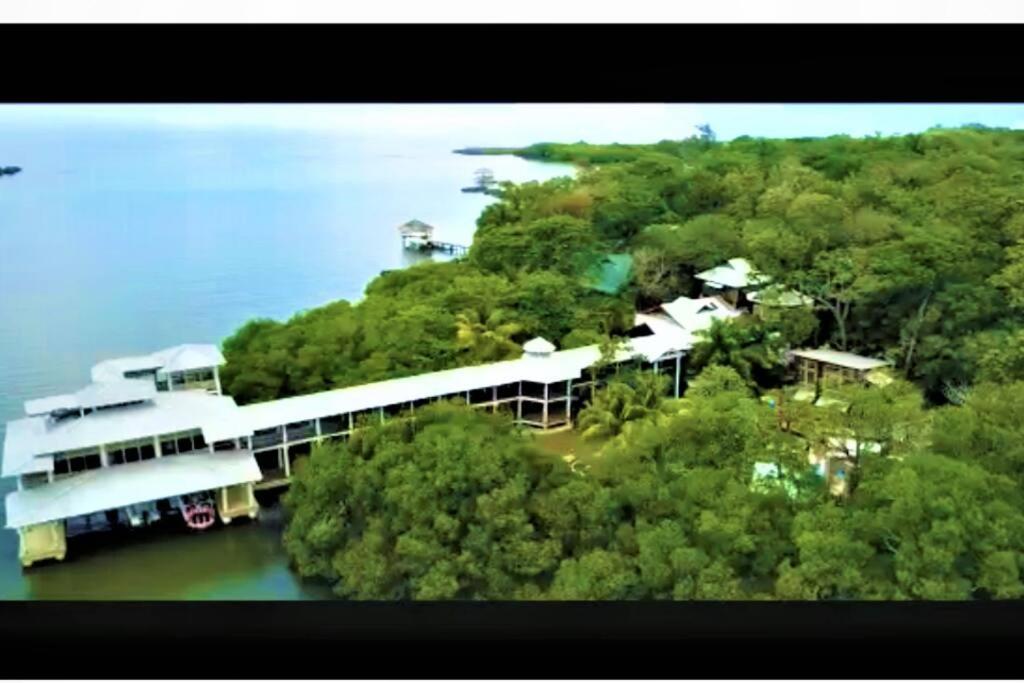 ווסט אנד The Dock Resort Over Water Retreat מראה חיצוני תמונה